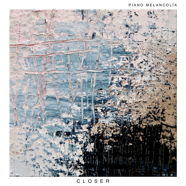 Closer cover