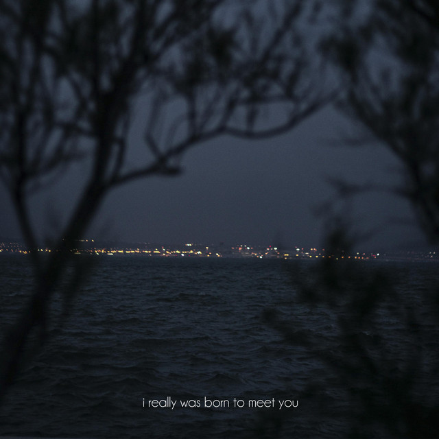 I Really Was Born to Meet You