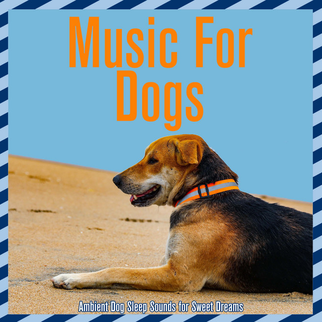 Music For Dogs: Ambient Dog Sleep Sounds for Sweet Dreams cover art
