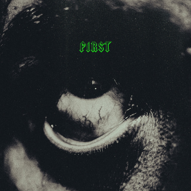 FIRST cover art