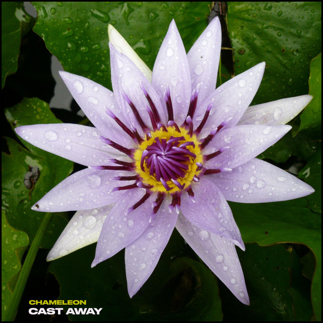 Cast Away cover art