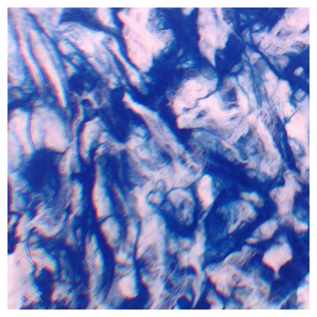 Ocean cover art