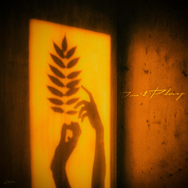 Don't Play cover art