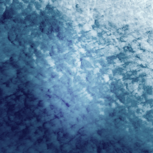 Blinded cover art