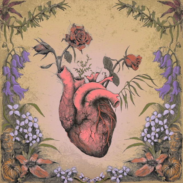 Mi Amor cover art