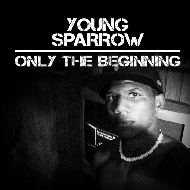 Young Sparrow