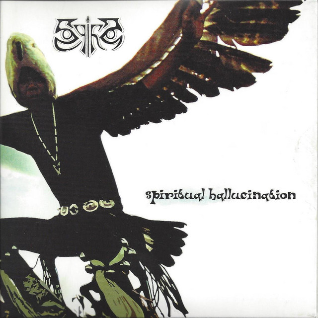 Spiritual Hallucination cover art