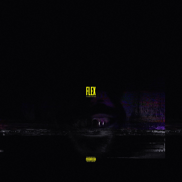 Flex cover art