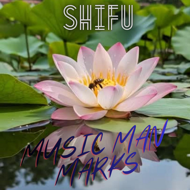 Shifu pt1