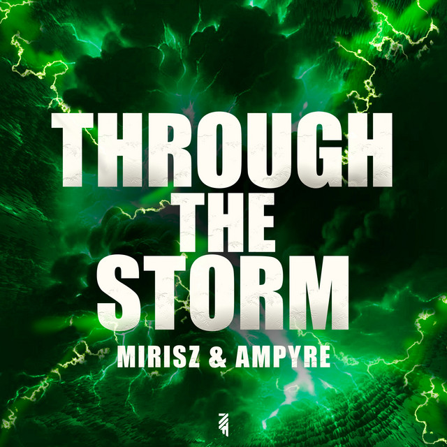 Through The Storm cover