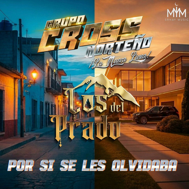 Por Si Se Les Olvidaba album image