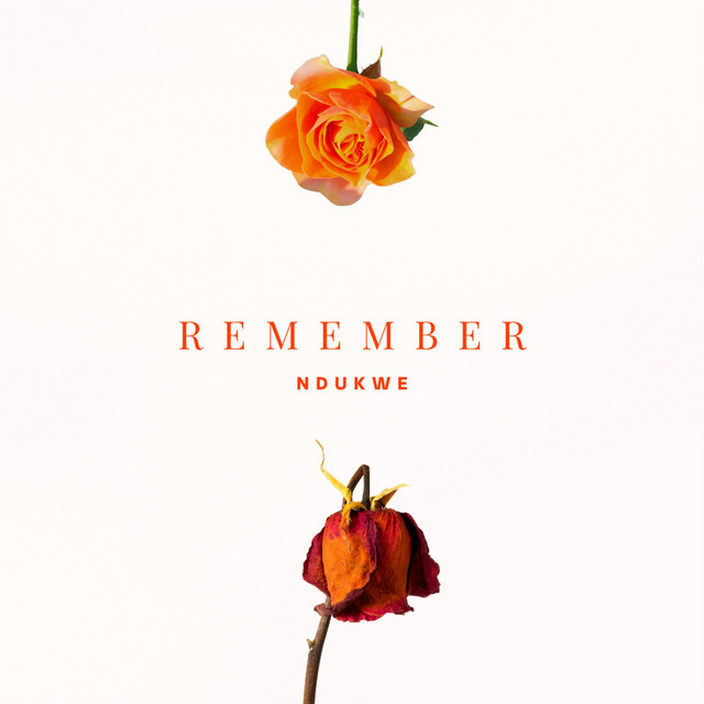 Remember cover art