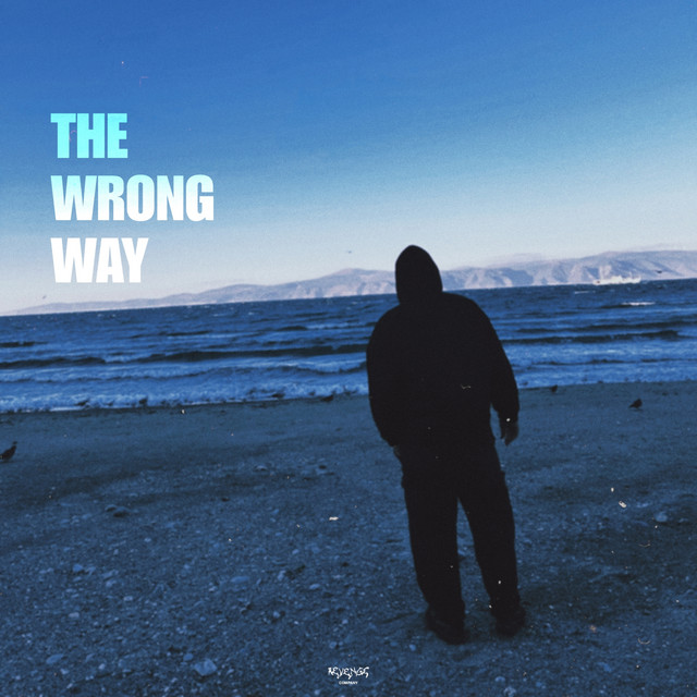 The Wrong Way cover art