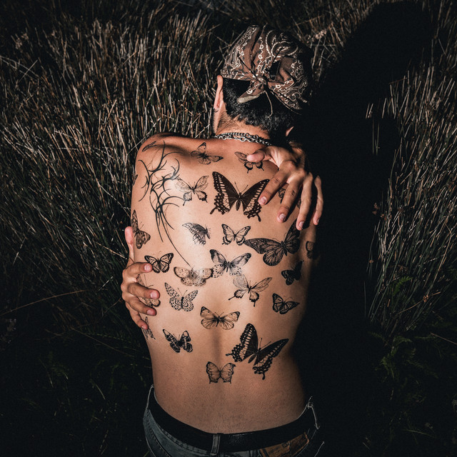 KILLIN BUTTERFLIES