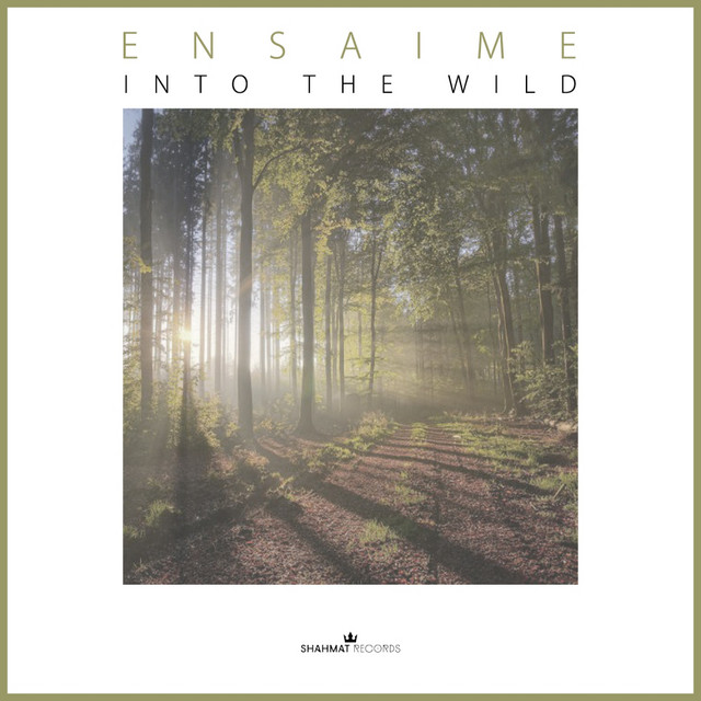 Into The Wild cover art