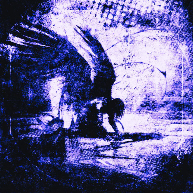 void cover art