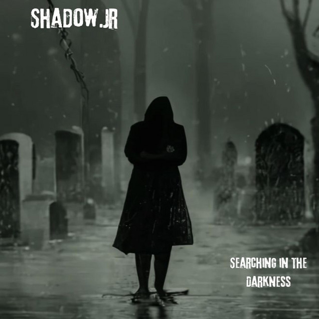 Searching In The Darkness cover
