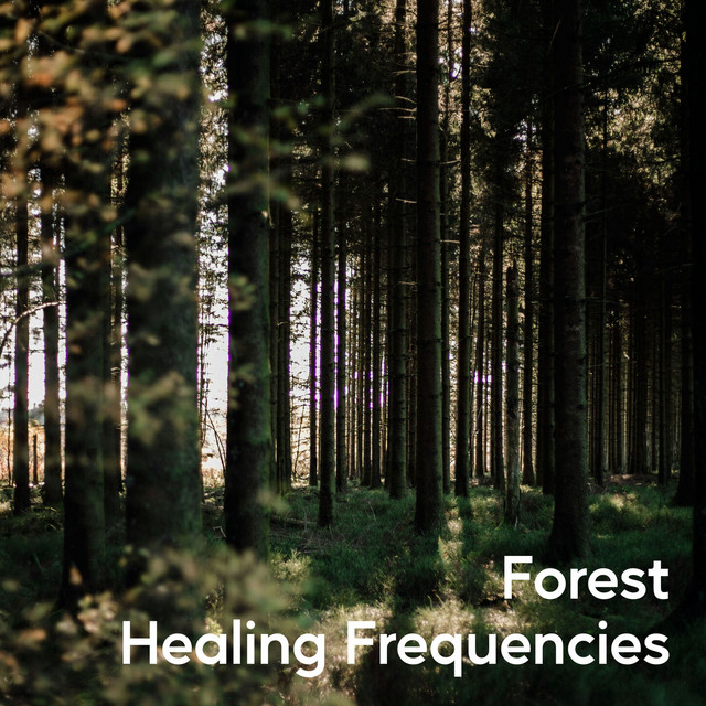 Forest Healing Frequencies (528 Hz Nature Calm)