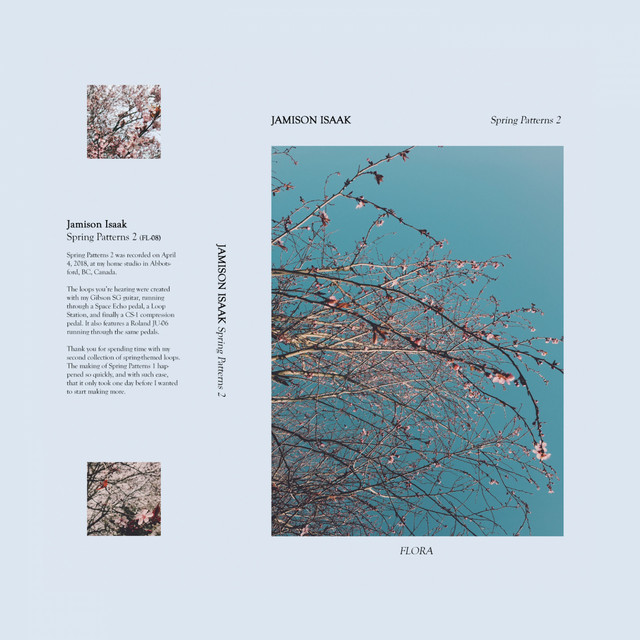 Spring Patterns 2 cover art