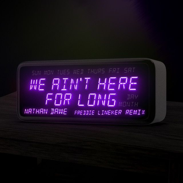 We Ain't Here For Long - Freddie Lineker Remix