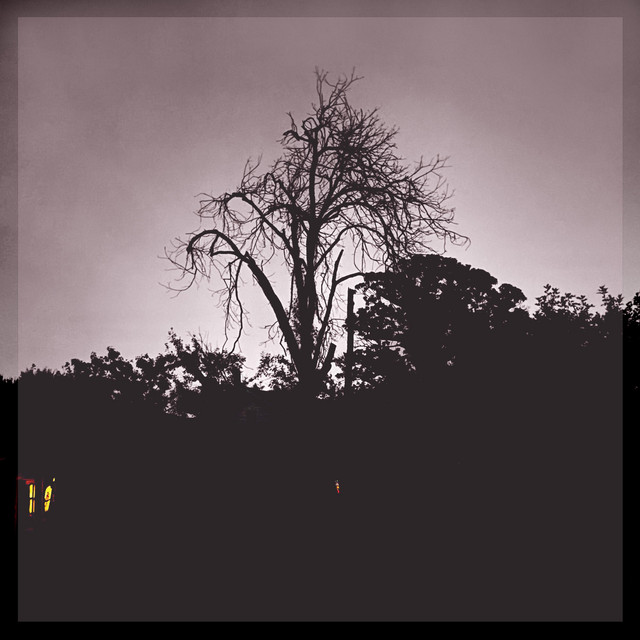 a terrible gift cover art