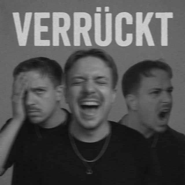 Verrückt cover art