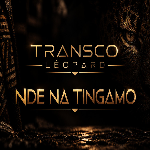 Nde Na Tingamo cover