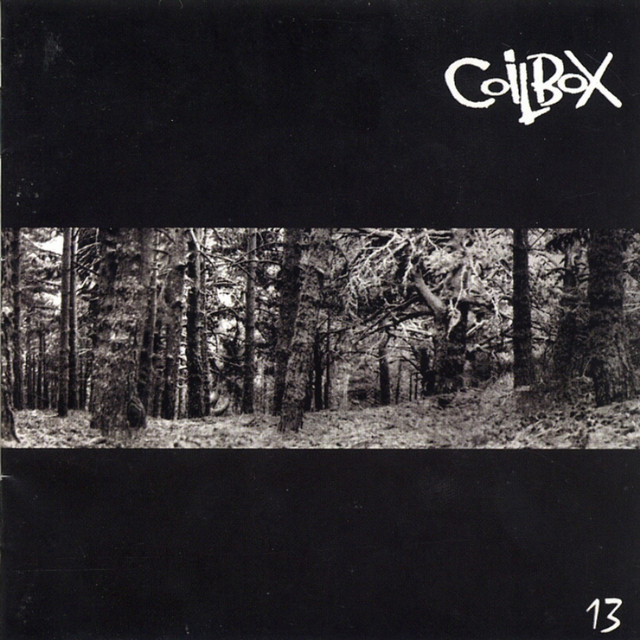 13 cover art