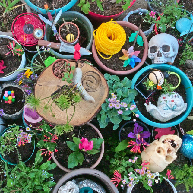 Singing to the Plants cover