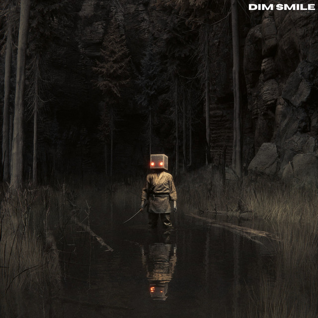 dim smile cover art