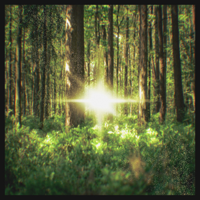juniper cover art