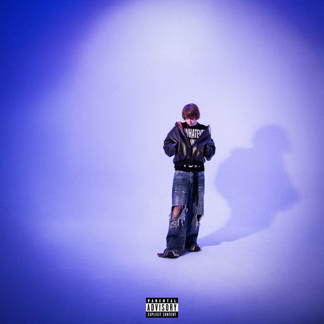 Тону cover art