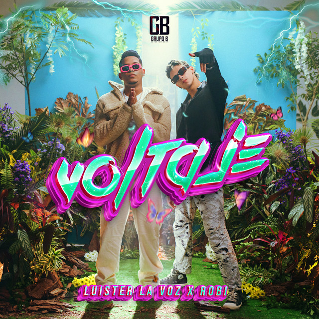 Voltaje cover art