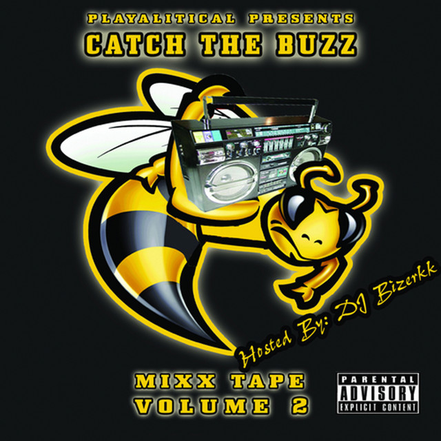 Catch the Buzz Volume 2 cover art