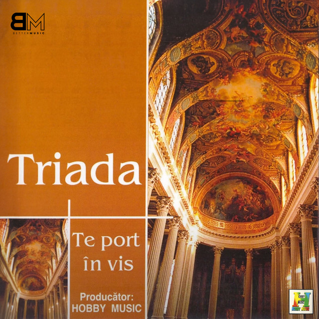 Te port in vis cover art