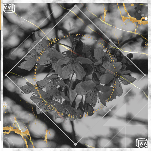 distant memory cover art