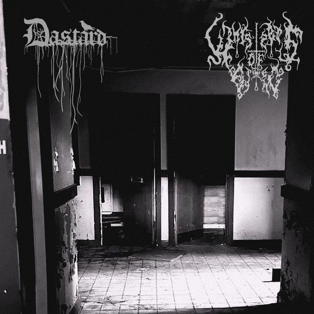 Desolate Solitude (Whispers of the Dying Split) cover art