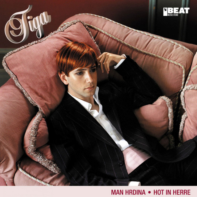 Cover du titre Hot in Herre