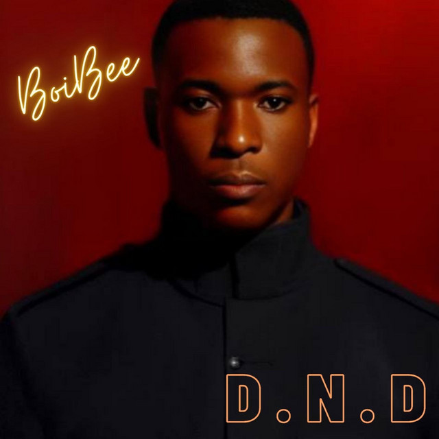 D.N.D - Album by BOI BEE | Spotify