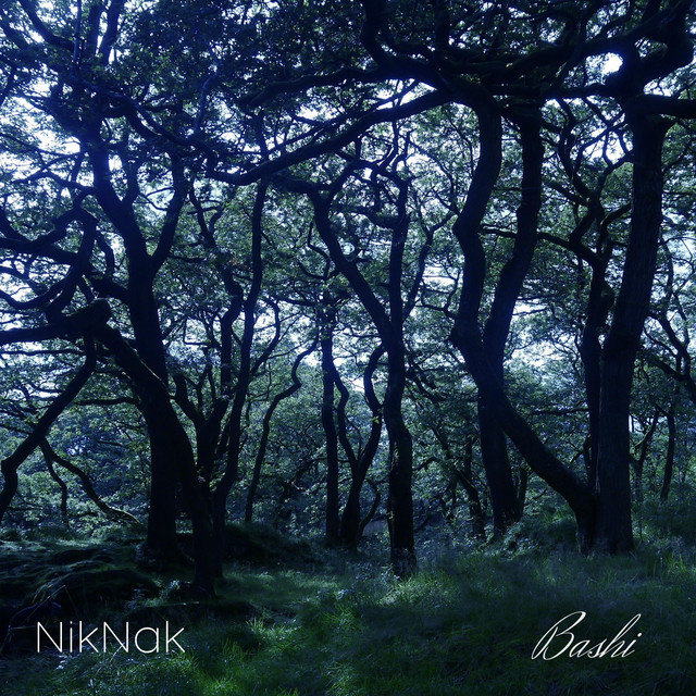 Thunder album art