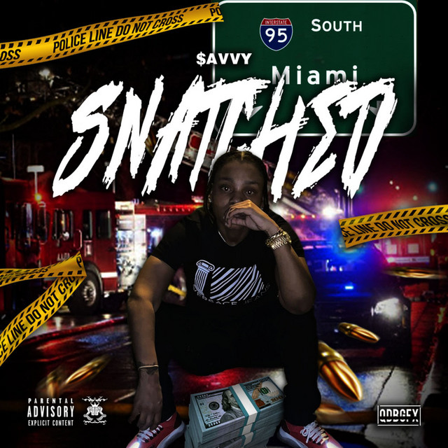 Snatched cover art