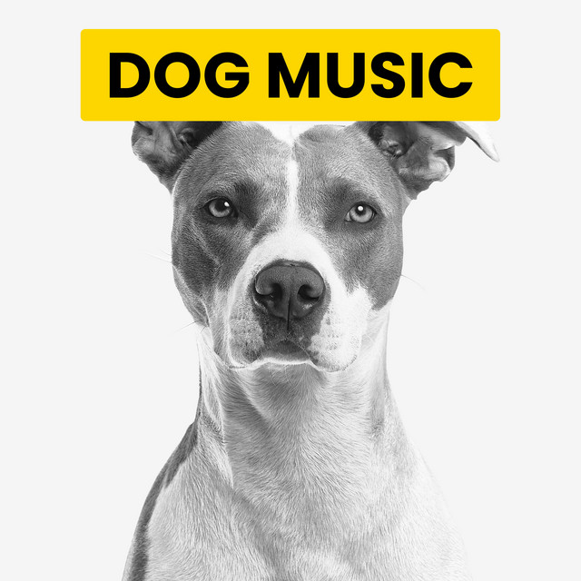 Soft Piano Tones For Dogs cover art