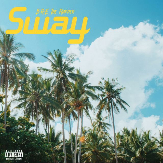 Sway cover