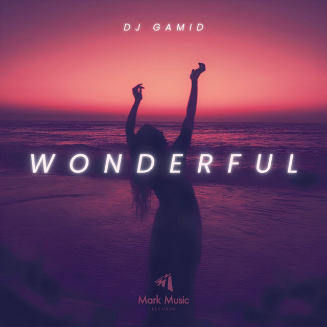 Wonderful cover