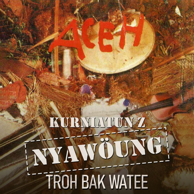 Troh Bak Watee - Single by Nyawoung Aceh | Spotify