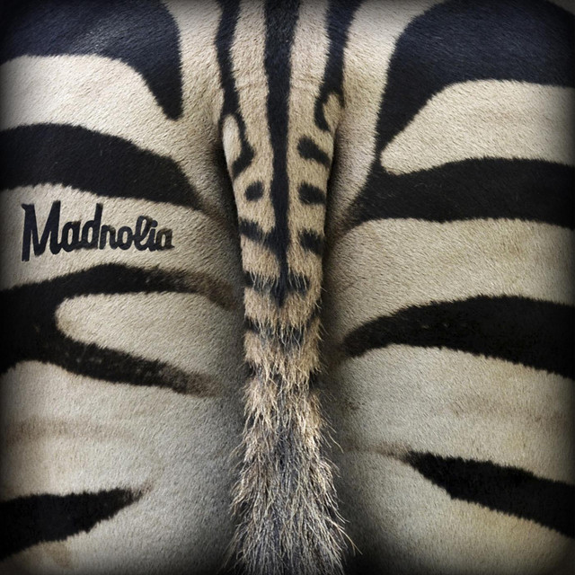 Madnolia cover