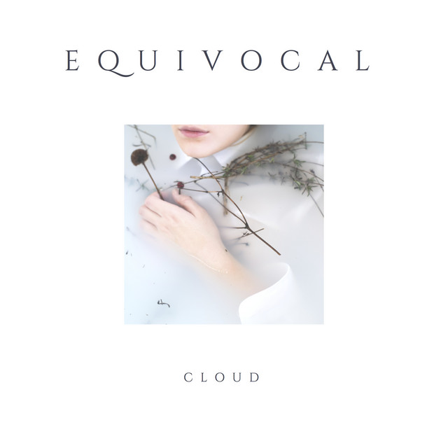 Equivocal cover art