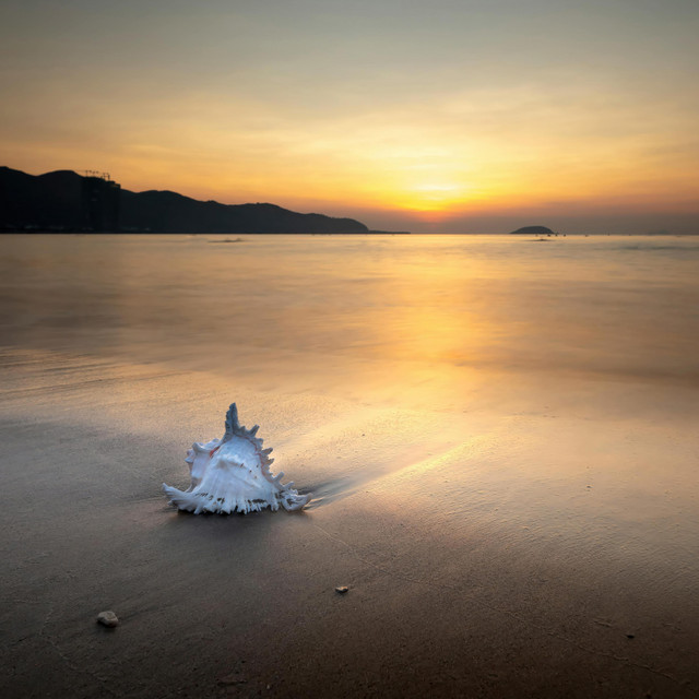 Ave Maria by Bach-Gounod (piano solo)