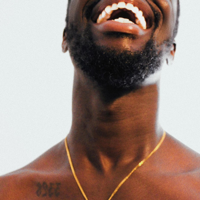 embrace it cover art