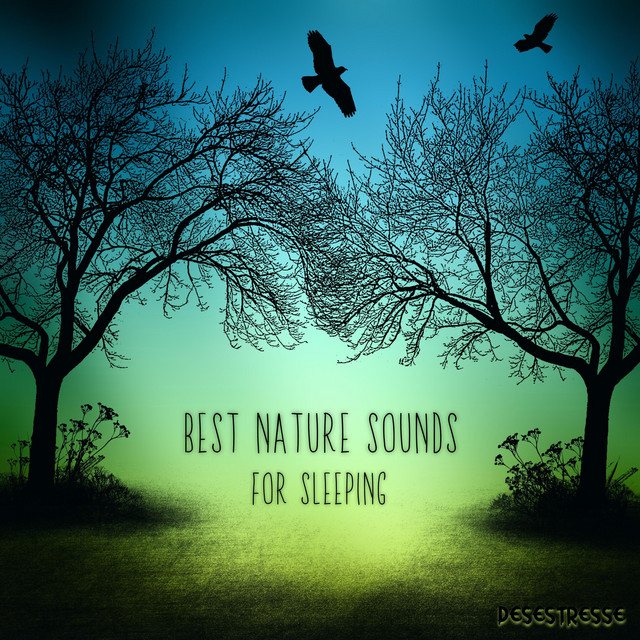 Best Nature Sounds for Sleeping cover art